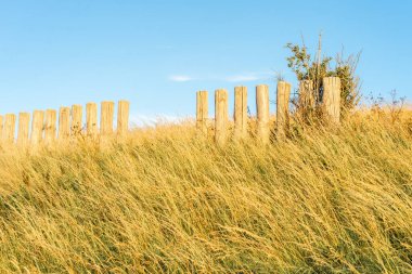 Hollanda 'daki Scharendijke hendeğinin üzerinde altın bir ışık.