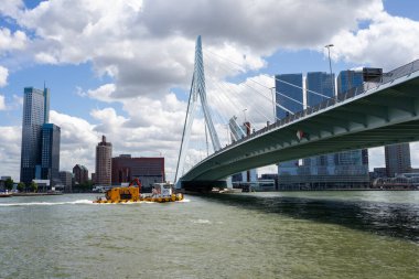 Hollanda, Rotterdam 'daki Erasmus köprüsü ile Skyline. 22 Haziran 2025.