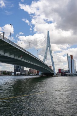 Hollanda, Rotterdam 'daki Erasmus köprüsü ile Skyline. 22 Haziran 2025.