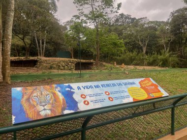 Inside of the Sao Paulo Zoo in Brazil. Sao Paulo, Brazil. September 12, 2025.