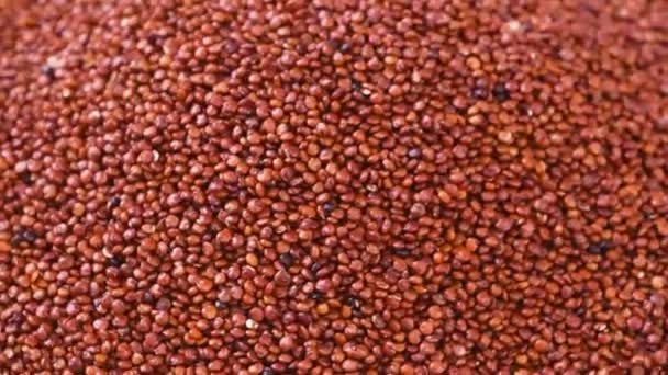 Ovanifrån Närbild Råa Röda Quinoakorn Livsmedelsbakgrund — Stockvideo
