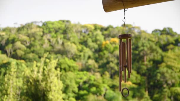 Wind Chime Outdoor Front Forest — Stock Video