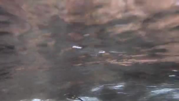 Υποβρύχια Θέα Ενός Ατόμου Που Περπατά Ένα Ποτάμι Μπότες Πεζοπορίας — Αρχείο Βίντεο