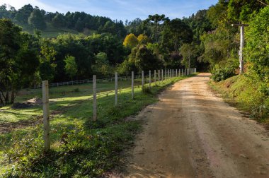 Brezilya 'nın Minas Gerais kentindeki bir ormanın yakınındaki bir çiftlikte toprak yol..