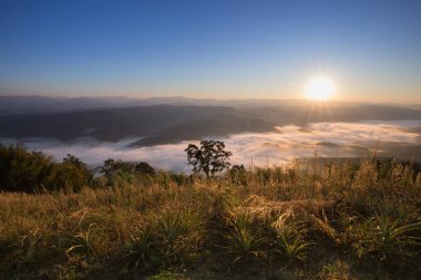 Sabah sisli bir dağ.