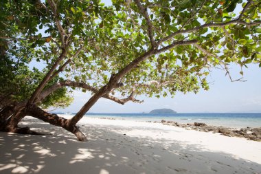 Tropicana 'da okyanusta kumsal 