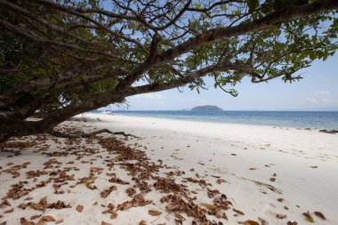 Tropicana 'da okyanusta kumsal 