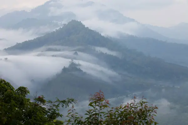 Mountain with foggy on mountain