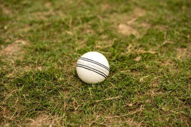 Yeşil çimlerin üzerinde beyaz kriket topunun yakın çekimi.