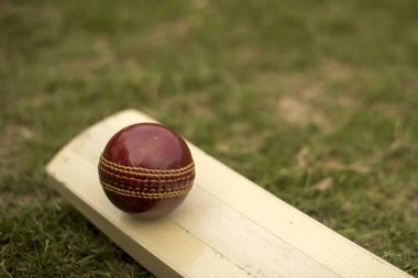 Kriket sopası ve top çimen sahası sahasında oynuyor