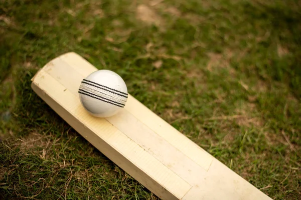 Крикетна Кажана Полі Трави — стокове фото