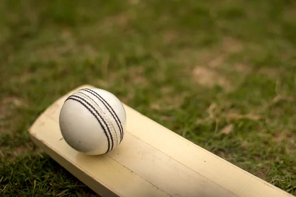 Cricket Bat Ball Playing Grass Field Pitch — Stock Photo, Image