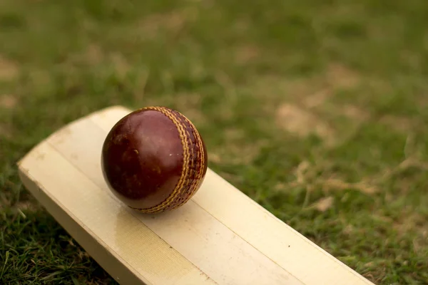 Cricket bat and ball on playing grass field pitch