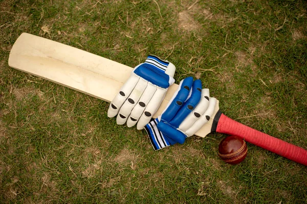 グリーンフィールド上のクリケットバットと手袋 — ストック写真