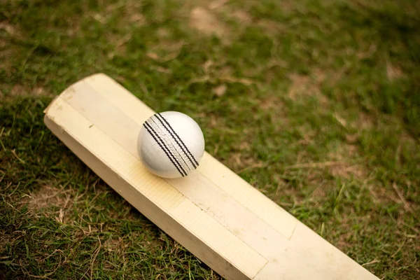 Cricket Bat Och Boll Att Spela Gräs Fält Pitch Stockfoto