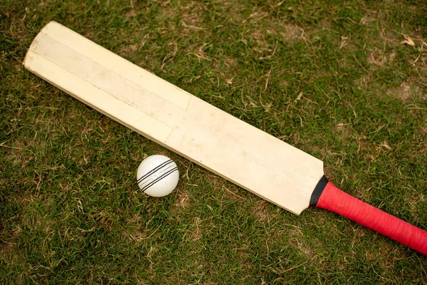 Cricket Bat Och Boll Att Spela Gräs Fält Pitch Royaltyfria Stockbilder