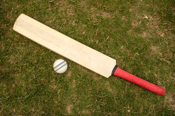 Cricket Bat Ball Playing Grass Field Pitch Stok Foto Bebas Royalti