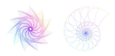 Büküm çizgilerinin beyaz arka planında soyut spiral gökkuşağı tasarımı ögesi. Vektör İllüstrasyonu, geleneksel oran vektör ikonu Fibonacci spiralinin 10 Altın oranına ulaştı. Zarif kartvizit için