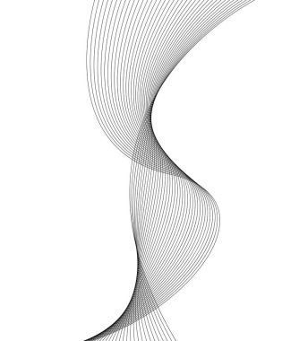 Tasarım elemanları. Bir sürü gri çizgi dalgası. Beyaz arka planda soyut dalgalı çizgiler izole edildi. Yaratıcı çizgi sanatı. Vektör illüstrasyon EPS 10. Blend Aracı kullanılarak oluşturulan çizgilerle siyah parlak dalgalar.