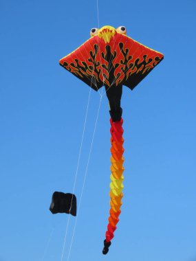 Yıllık uçurtma festivali sırasında Güney Denizi 'nde renkli uçurtmalar uçuyor..