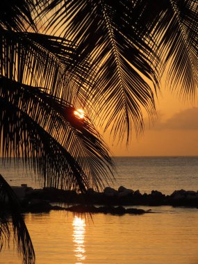Güneş, Tobago 'daki bir plajda yavaşça batarken palmiye yapraklarının arasından baktı..