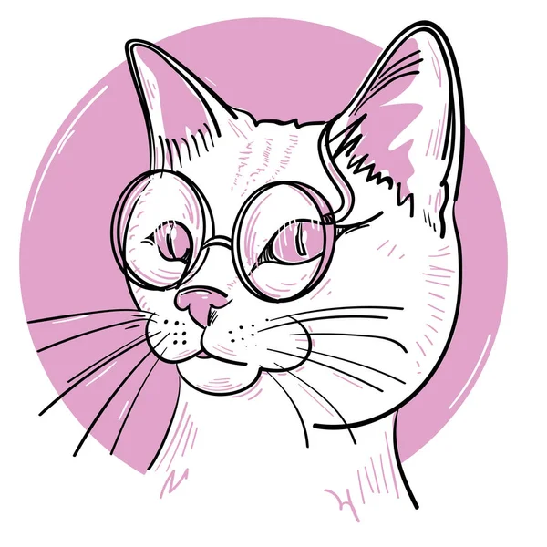 Gözlüklü meraklı kedi. 