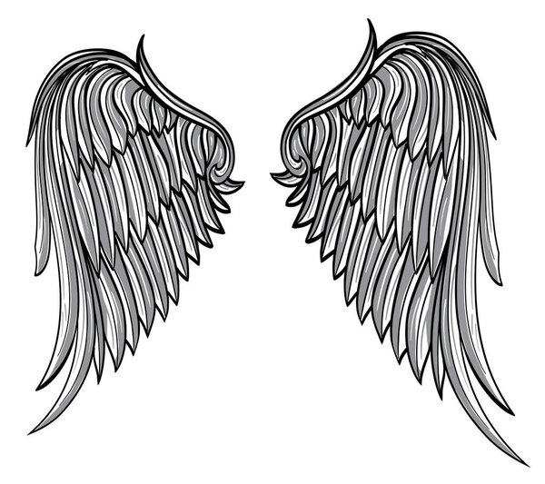 Drawn decorative spread out bird angel wings