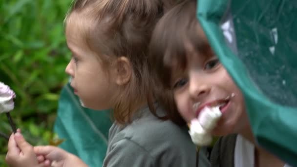 キャンプテントに座ってスティックに揚げマシュマロを食べる小さな少女と少年の葉を通した一般的な計画 — ストック動画
