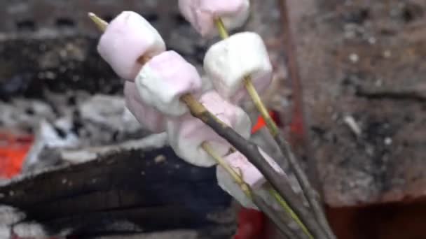Ateşin Üzerinde Kızaran Şekerlemelerle Yakın Çekim Görüntüsü — Stok video