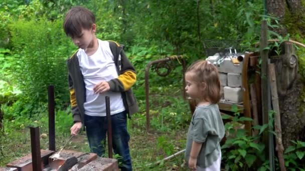 Küçük Kız Oğlan Doğadayken Çubuklarda Lokum Kızartıyorlar — Stok video