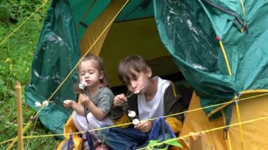 Kamp çadırında oturmuş çubuklarda kızartılmış marşmelov yiyen küçük kız ve oğlanın yaprakları üzerinden genel plan..