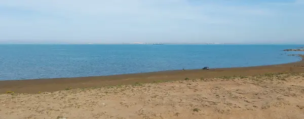 Köpekli insanlar plajda dinleniyor.