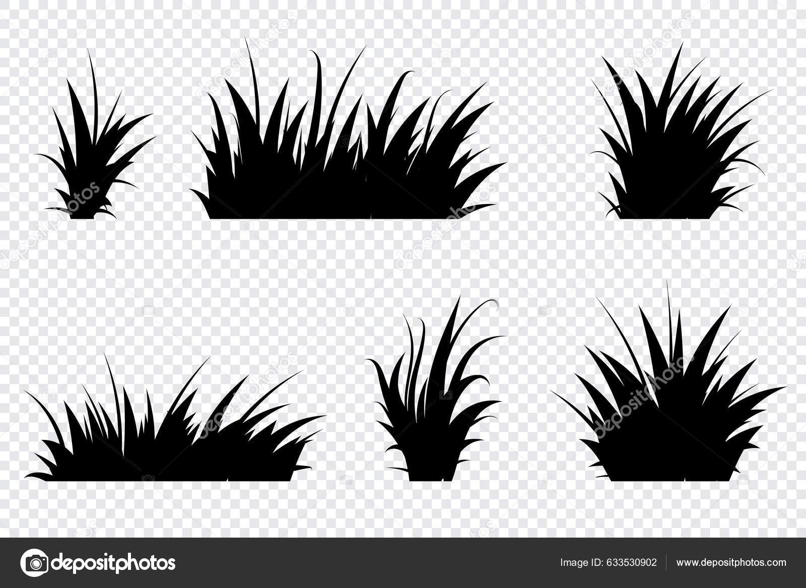 Set Black Grass Grass Bushes Different Shapes Hand Drawn Grass Stock Vector  by ©aozorastock 633530902, image size:1600x1167