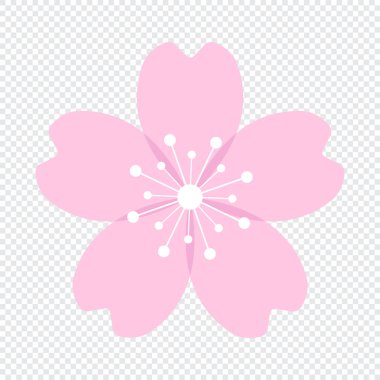 Kiraz çiçeği ya da sakura yassı ikonu. Sakura ikonu. Pembe kiraz çiçeği. Vektör illüstrasyonu