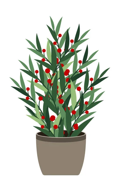 Woonplant Een Potplant Geïsoleerd Decoratieve Groene Huisplant Pot Plant Pot — Stockvector