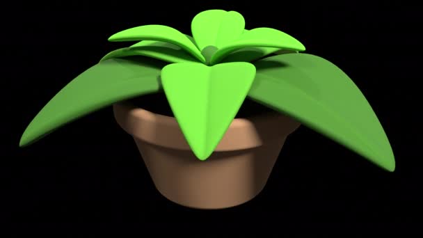 Φυτά Γλάστρα Καθιστούν Φυτό Σπίτι Πράσινα Φύλλα Αδιάλειπτη Βρόχο Βίντεο — Αρχείο Βίντεο