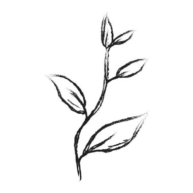 Elle çizilmiş yapraklı bir dal. Çiçek tasarımı. El çizimi botanik çizimi