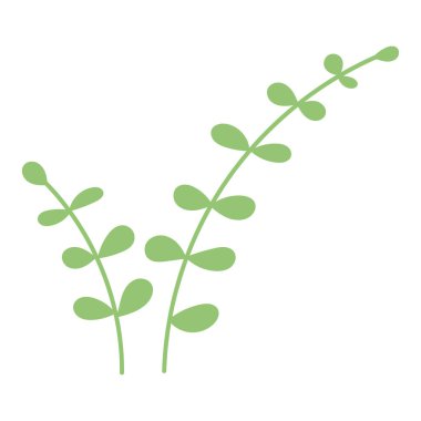 Yaz el çizimi çiçek. Yaban çiçeği ve yapraklar. Çiçek maddesi. Bahçe bitkisi. Vektör düz resimleme