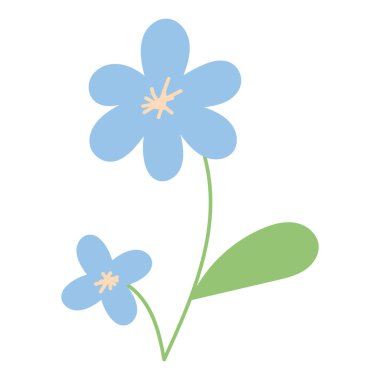 Yaz el çizimi çiçek. Yaban çiçeği ve yapraklar. Çiçek maddesi. Bahçe bitkisi. Vektör düz resimleme