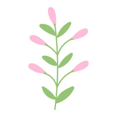 Yaz el çizimi çiçek. Yaban çiçeği ve yapraklar. Çiçek maddesi. Bahçe bitkisi. Vektör düz resimleme