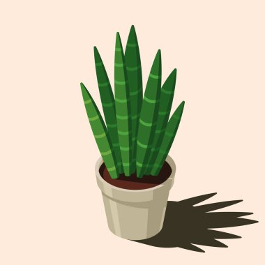 Isometric saksı bitkisi. Kapalı alan bitkisi. Çaydanlıkta yeşil bitki. Ev dekorasyonu için 3D saksı bitkisi. İç dekorasyon ögesi