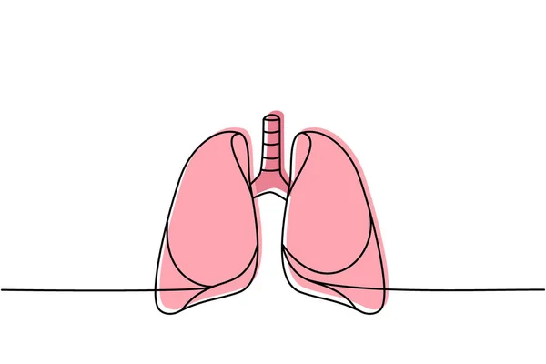 人类肺一条线彩色连续画图 人体器官连续多彩的一行插图 矢量极小线性插画 因白人背景而被隔离 — 图库矢量图片