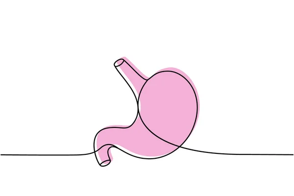 ヒトの胃1行の連続的な描画色 人間の臓器連続カラフルな1行のイラスト ベクトル最小限の線形イラスト 白地に隔離された — ストックベクタ
