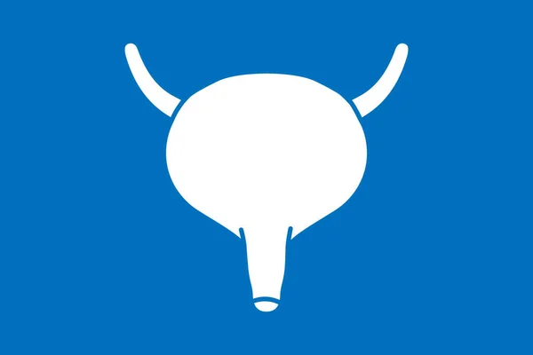 Símbolo Vejiga Humana Aislado Sobre Fondo Azul Icono Órgano Humano — Vector de stock