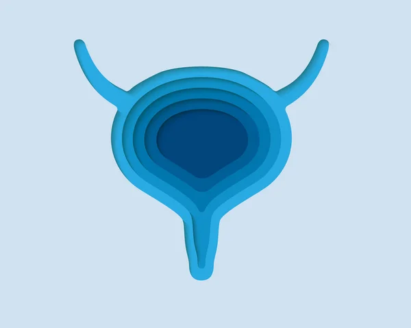 Vejiga Símbolo Estilo Corte Papel Sistema Reproductivo Diseño Trasplante Humano — Vector de stock