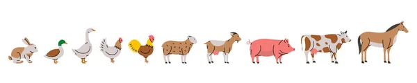 一组农场动物 采购产品兔子 马的轮廓 基于白色背景隔离的家畜特征集 — 图库矢量图片