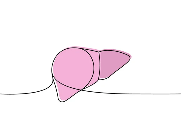 人間の肝臓1行の連続的な描画色 人間の臓器連続カラフルな1行のイラスト ベクトル最小限の線形イラスト 白地に隔離された — ストックベクタ
