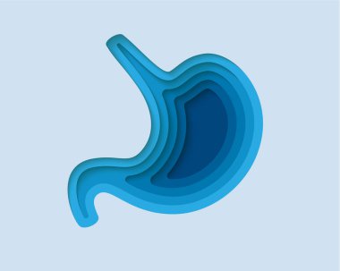 Kağıt kesiği şeklinde midenin 3D sembolü. Sindirim sistemi, insan nakli tasarımı. Organ anatomisi çizimi. Kağıt pankarttan kesilmiş..
