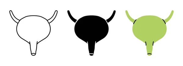 Set Human Bladder Symbols Human Bladder Icons Color Black Thin — Stock Vector