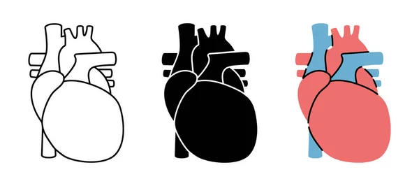 Conjunto Símbolos Cardíacos Humanos Ícones Coração Humano Cor Preto Fino — Vetor de Stock